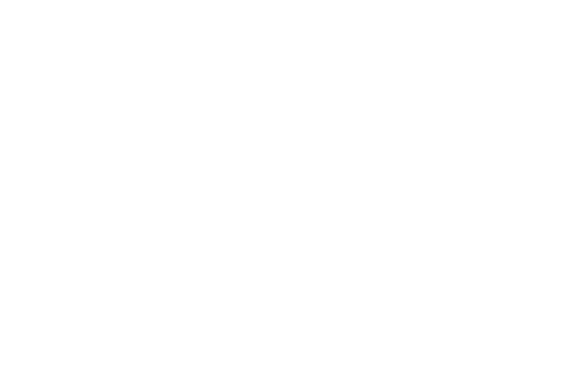Iara Donâncio Icon - Cores copiar